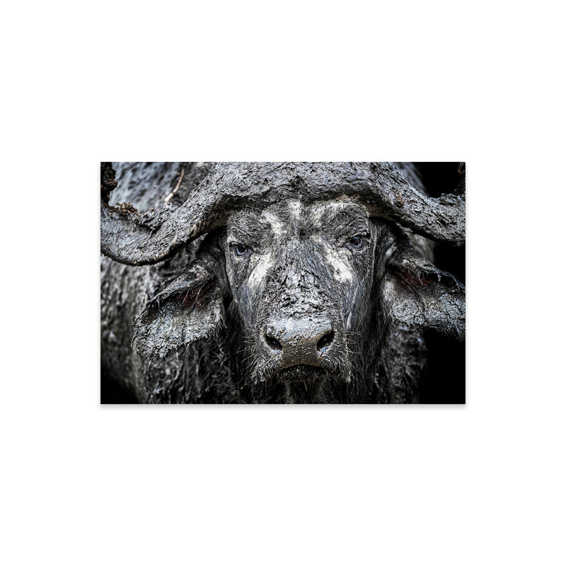 Gros plan sur le cap Buffalo II sur plastique / acrylique par Susan Schmitz, peinture