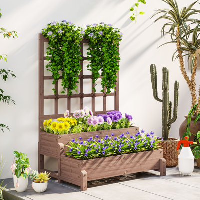 Raised Garden Bed with Trellis