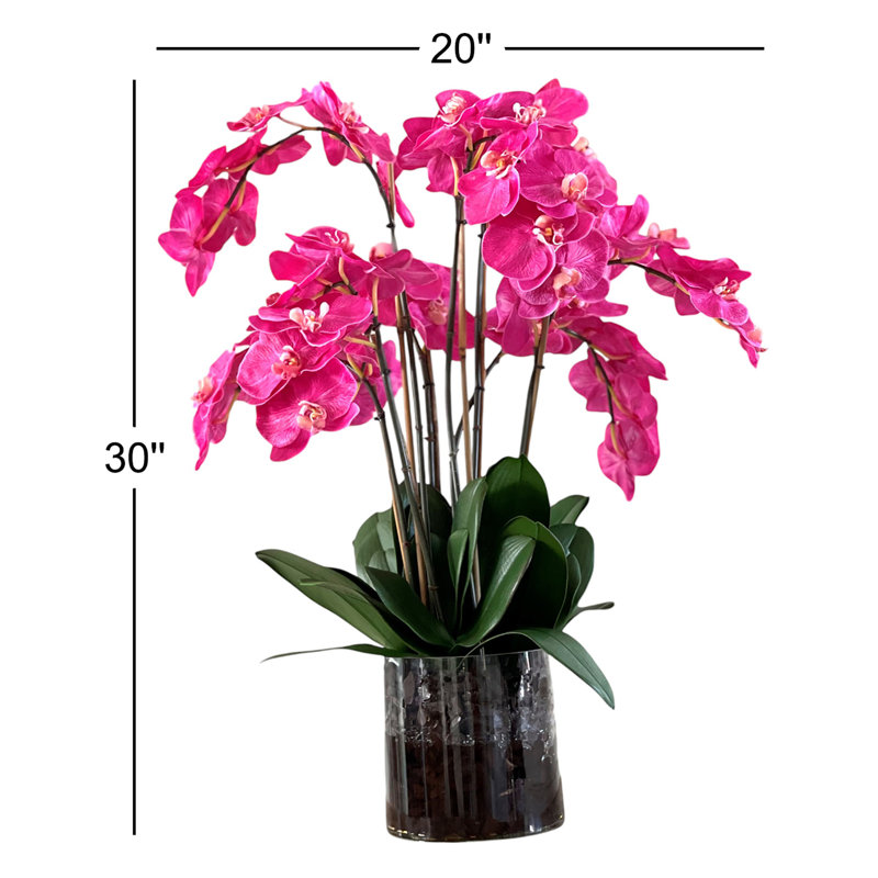 Orchidée en fleurs dans un vase, Rose