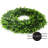 Faux Holly Plastic Wreath-63658157-128837937