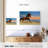 Crowle Galloping Brown Horse-111976415
