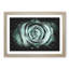 Mint Green Rose - Picture Frame Graphic Art Print-56735473-56735468