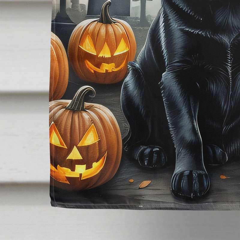Double Sided 40'' H x 28'' W Polyester Halloween House Flag