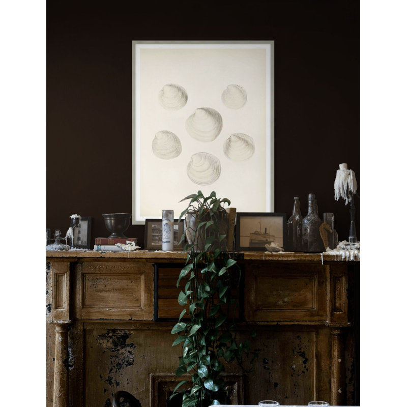 Sea Trinkets 1 Print by Studio L57 Nouvelle, 21.75" H x 17.75" W