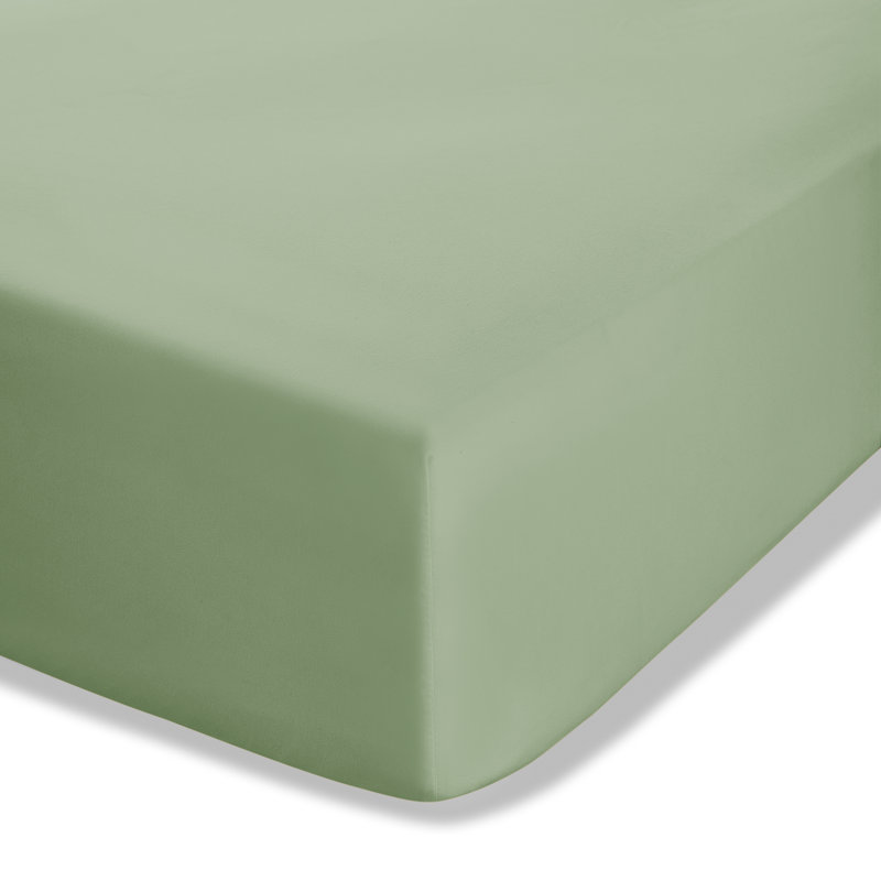 Easy Iron Percale Extra Deep Fitted Sheet, Kingsize (5'), Green