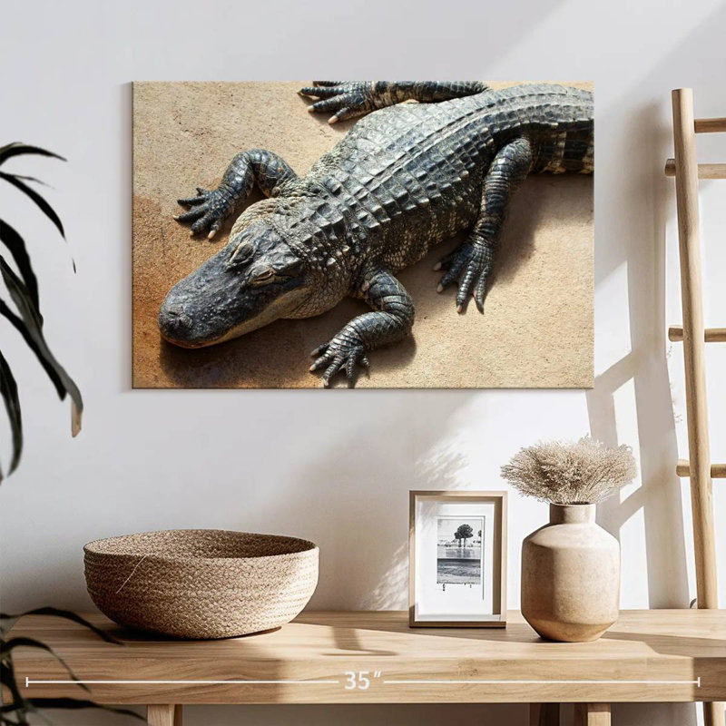 Crowle Alligator, 16" H x 24" W