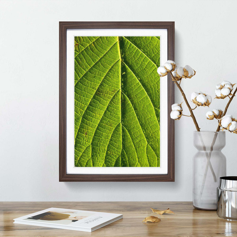 Leaf Pathways - Picture Frame Painting Print, 36cm H x 27cm W x 2cm D, Walnut Framed