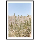 Baja California Print by Carly Tabak