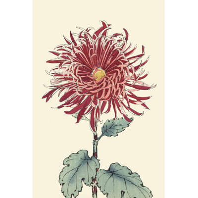 Chrysanthemum Woodblock I - Art Print