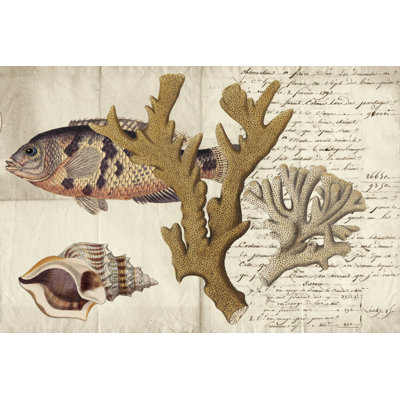 Sealife Journal I - Wrapped Canvas Print