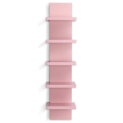 Pelicieux 5-Tier Small Wall Shelf