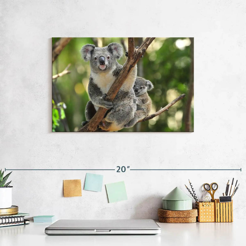 Australian Koala Bears, 8" H x 12" W