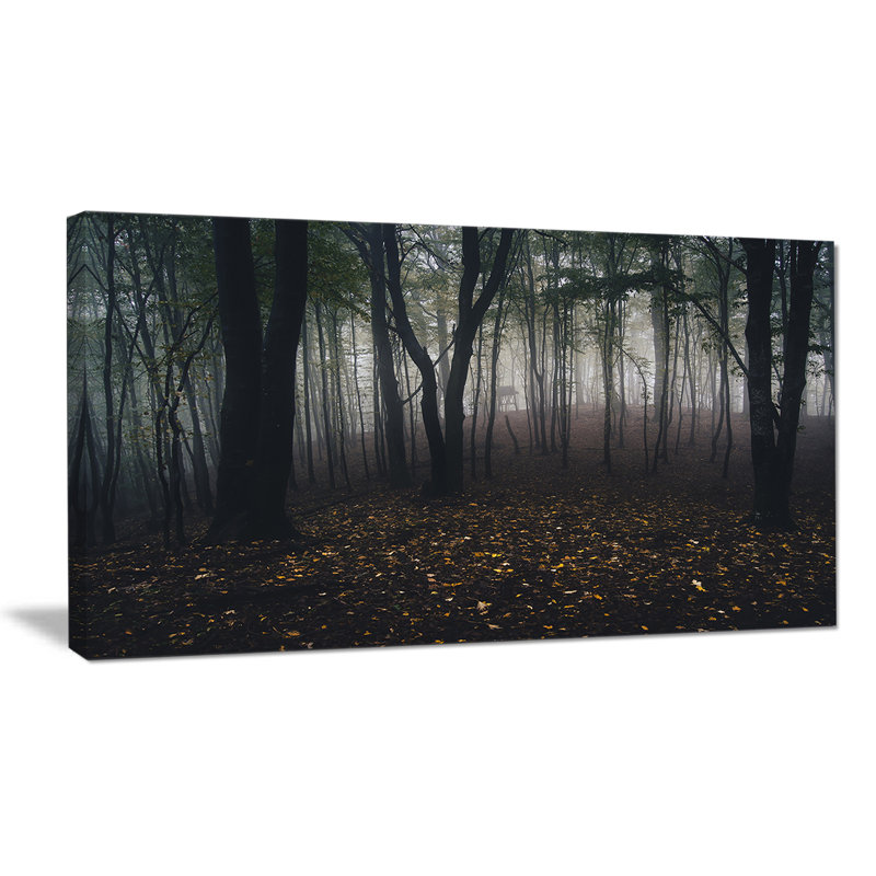 «Dark Spooky Misty Wild Forest», reproduction de photo, H 16 po x l 32 po x P 1 po, Toile tendue