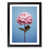 Black Framed selected