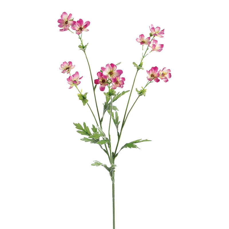 Arrangement de tournesol