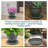 Round Glazed Ceramic Flower Pot Saucer Set of 2 - Fits 7" Planters - Gray-875224825-875224824
