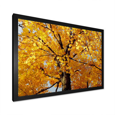 Automne érable - reproduction sur toile