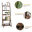Elberta Ladder Bookcase-442065771