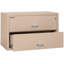 Fireproof 2 - Drawer File Cabinet-217288-331550