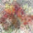 Glassy Petals Design Glass Accent Window Film-769480888