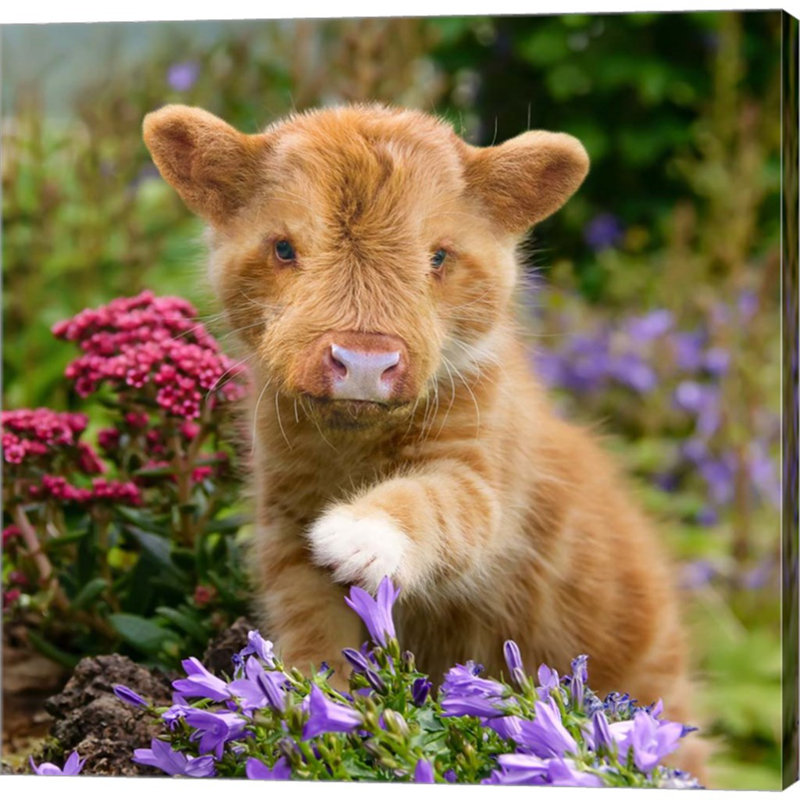 Lil Rumpus par Pixelmated Animals - photographie sur toile tendue