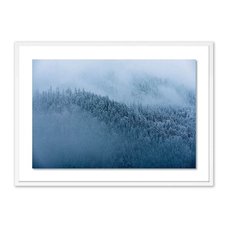 Winter Trees II Print by Michael Schauer, 29" H x 40" W x 2.5" D, White