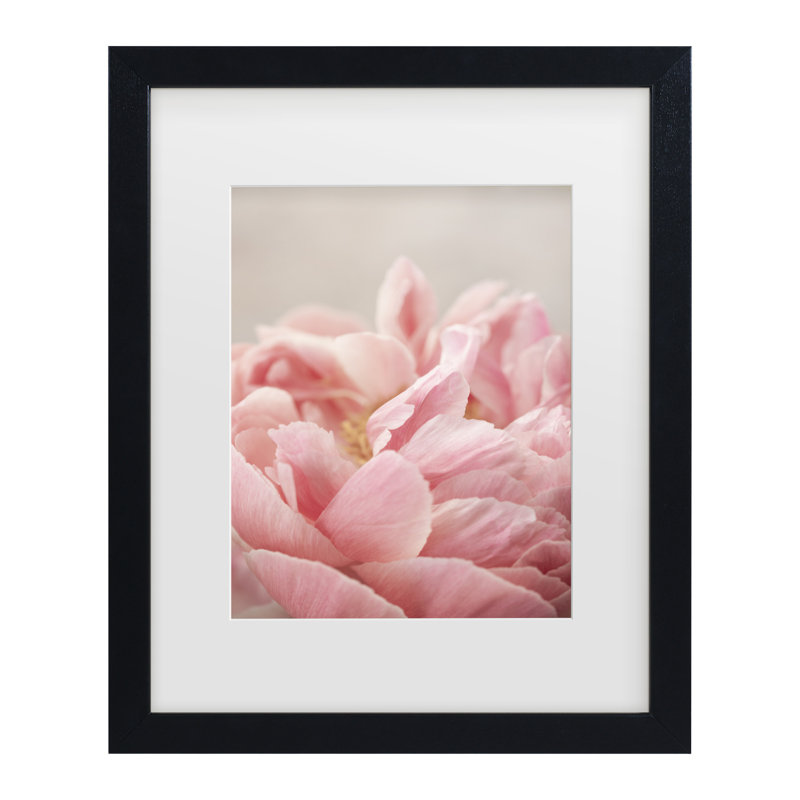 Art encadré avec pivoine maré 4 Bohmer, H 13 po x l 16 po, Cadre noir
