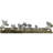 23" Search Extraterrestrial Intelligence Seti Allen Radio Telescope Array Astronomy Cardboard Standup