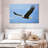 Brampt Gliding Bald Eagle-107689090