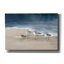 «Shorebirds On Sand 1 Blue» par Danhui Nai, art mural sur toile-424447900