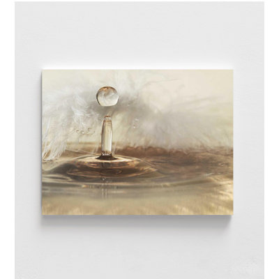 Golden Feather Photography Print: Close-Up Nature Droplets