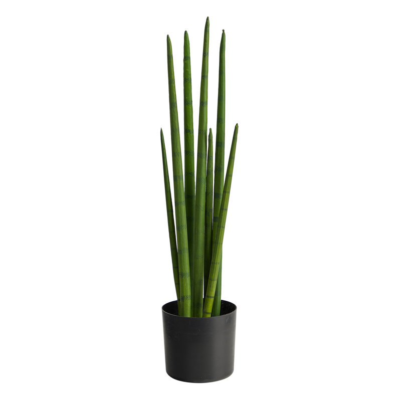 Snake artificiel en pot, H 23 po x l 5 po x P 5 po