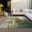 Machine Washable Indoor/Outdoor Cadence ACN2157 Abstract Rug-1931856596