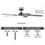 Ceiling Fan with LED Lights