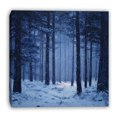 Art mural sur toile Moonlit Woodland