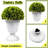 23” Artificial Pine Cone-Shaped Topiary Ball Tree (Set of 2)
