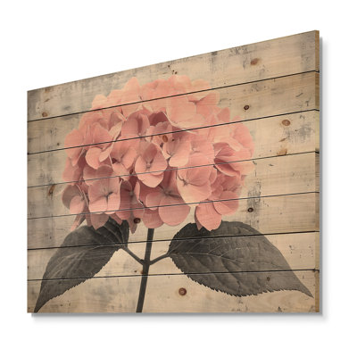 Hortensia rose Garden Bliss I - décoration murale en bois d'hortensia - sur bois de pin naturel