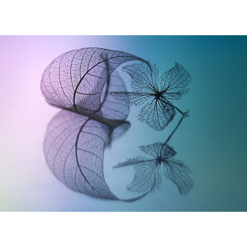 Wrapped Canvas Print, 50.8 cm H x 76.2 cm W