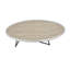 Allis Weathered Gray Oak & Metal Finish Coffee Table