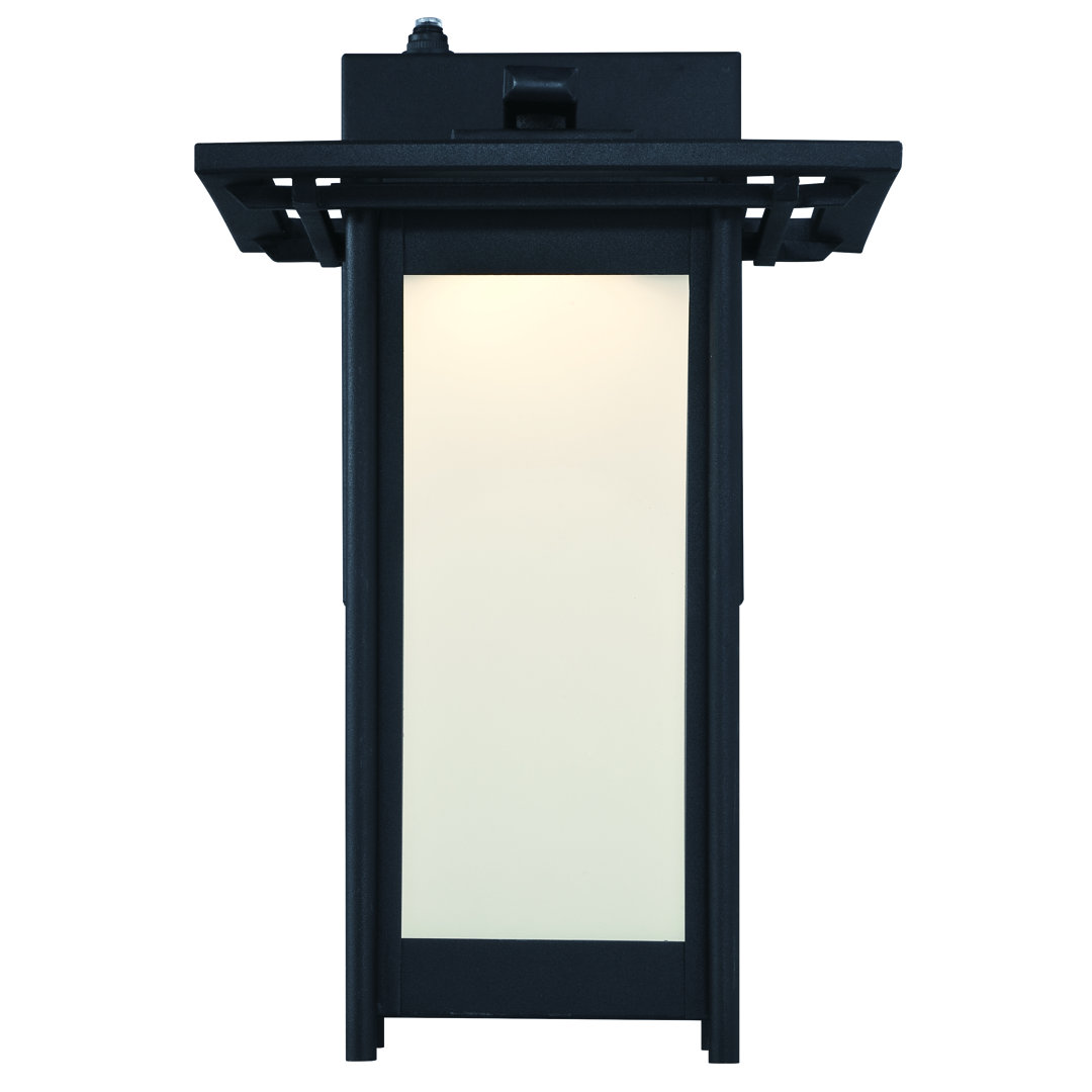 Ockton LED Wall Light World Menagerie