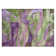 Machine Washable Indoor/Outdoor Xhevrie Purple Rug