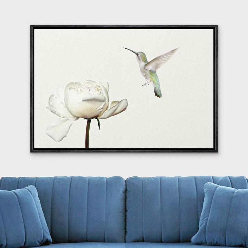 Animaux, colibri vole sur une fleur d'œillet blanc sur toile, Cadre noir, H 24 po x l 36 po x P 1,5 po