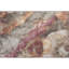 Tapis floral Premium Lavlin lavable à la machine AMF1787-1493078243