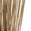 Faux Marsh Reed Plant Preserved
