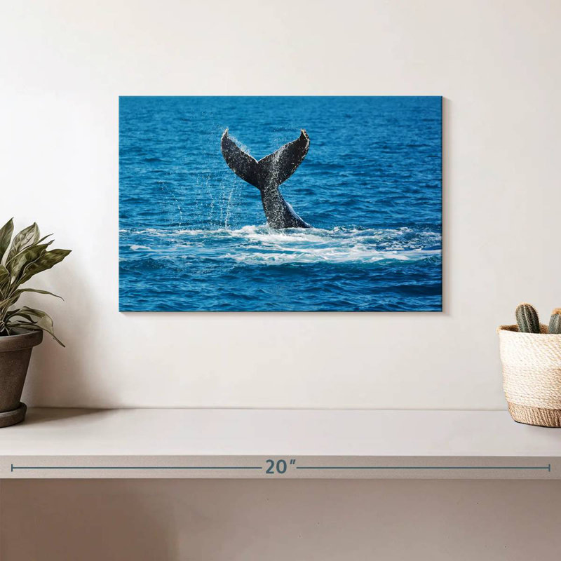 Brampt Whale Tail View, 8" H x 12" W