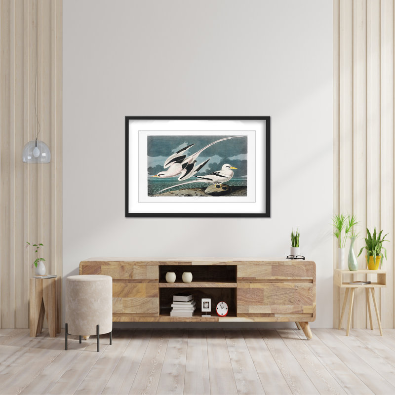 Nature Inspired Tropic Bird From Birds Of America (1827), 16" H x 24" W