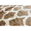 Hand-Knotted High-Quality Brown Area Rug