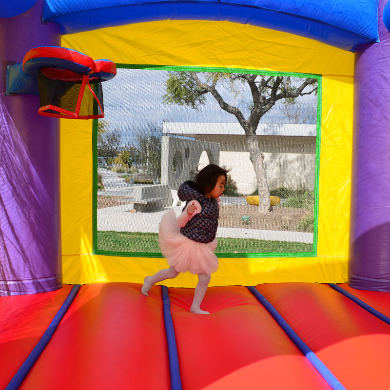 HeroKiddo Jelly Bean Castle Commercial Grade Bounce House Water Slide with Splash Pool (with Blower)