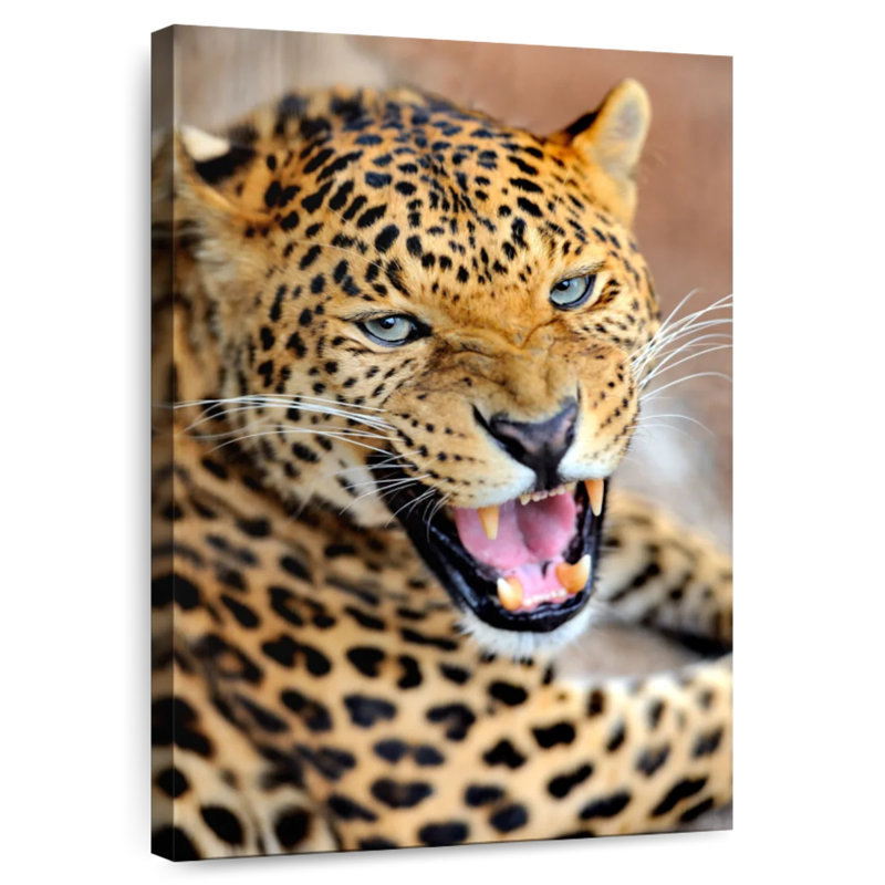 Brampt Growling Leopard, 36" H x 24" W