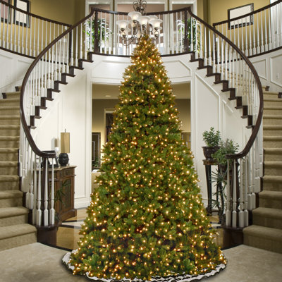 The Holiday Aisle® Downswept Douglas Fir Tree with Dual Colour LED Lights